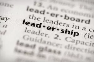 Dictionary Series - Attributes: leadership